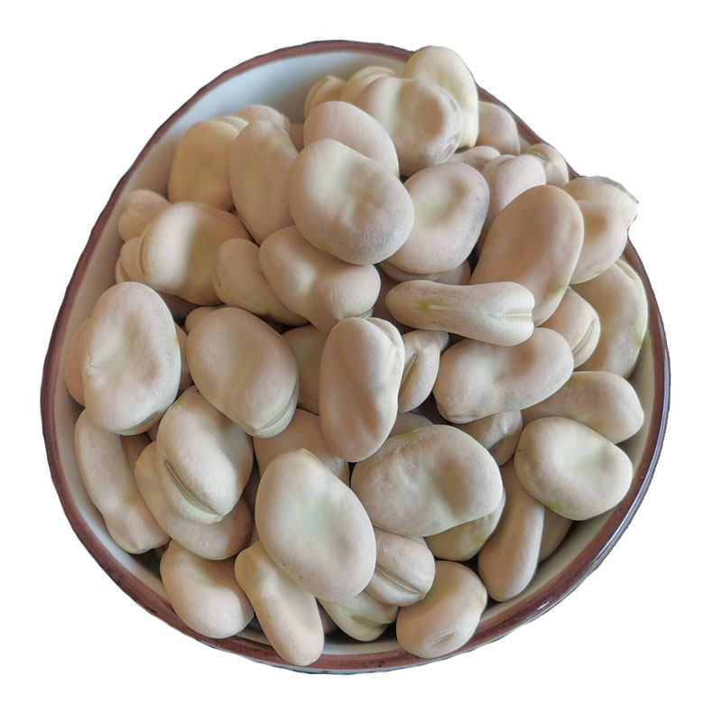 新货蚕豆干的胡豆去壳佛豆南豆生的云南高山新鲜豆类