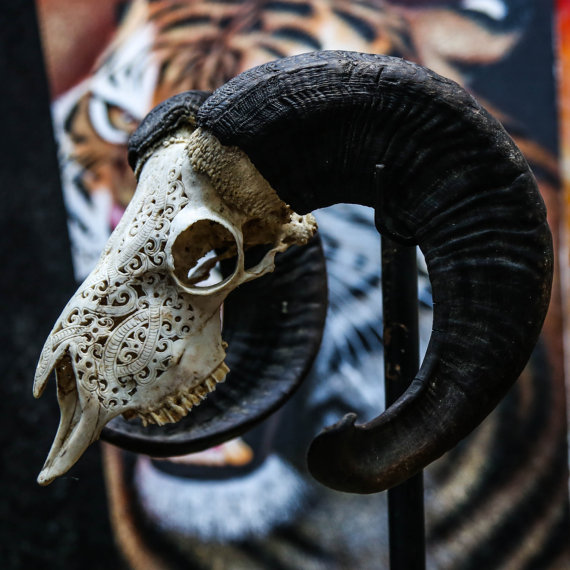 代购tribal特别手作创意部落大角羊头头骨镂空摆件