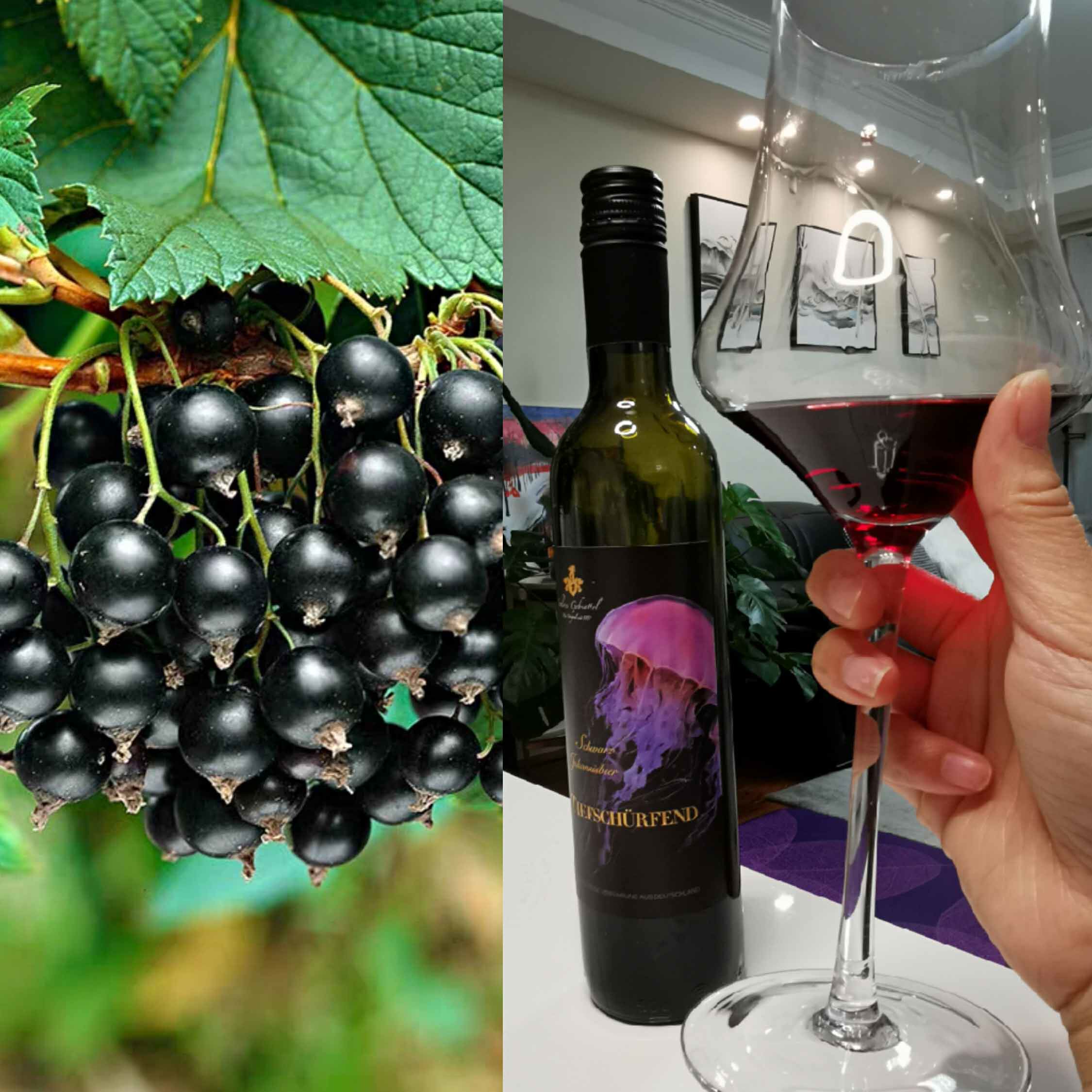 zui后几瓶稀有罕见舌尖上奢华体验德国原瓶进口阁尚黑醋栗甜酒