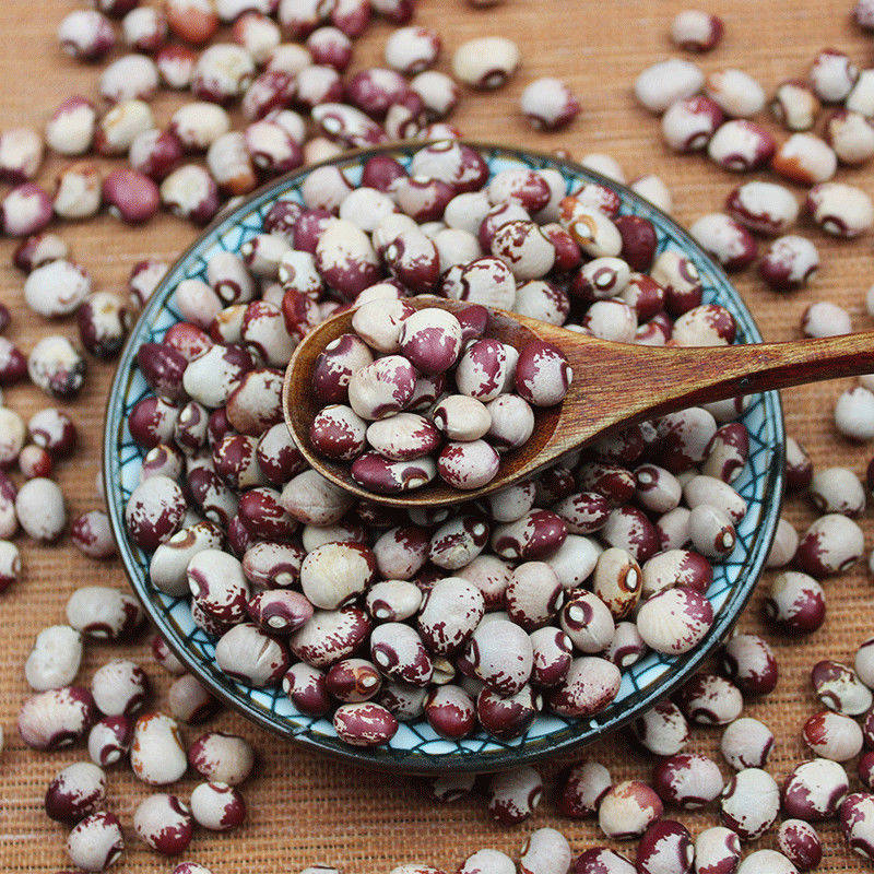 猫豆1斤五谷杂粮种子熊猫豆豆浆豆子新熊芸豆汤饭其它