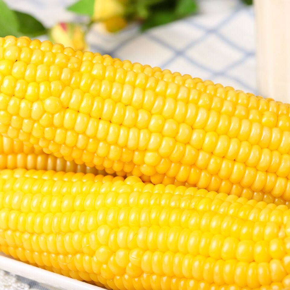 新鲜东北粘糯玉米黄玉玉米棒真空真空包包装转基因玉米