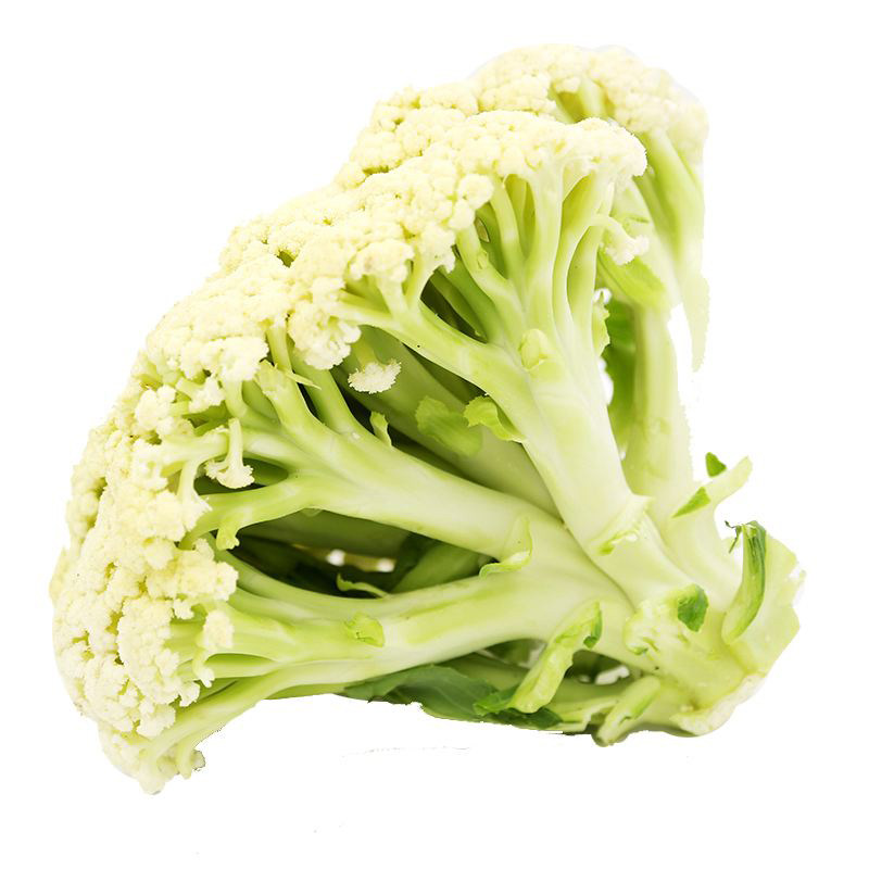 花菜圣松梗松种子邯圣65天75天80天菜花花椰菜家庭园艺种子