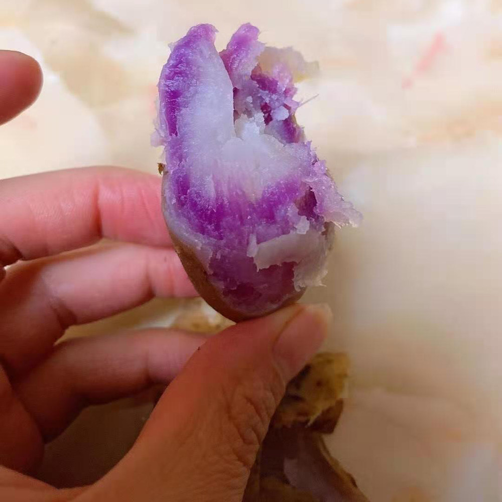 泗水地瓜新鲜红薯金花蜜薯烤红薯红山山芋花心番薯