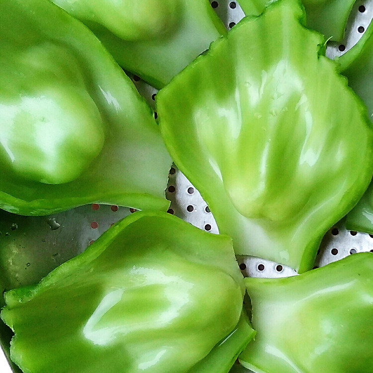 菜梗四川广安特产青菜奶奶菜青芥菜泡菜邦邦荠菜