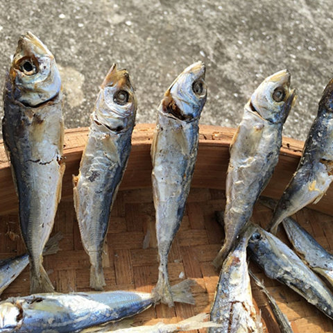 2件包邮平潭特产海鲜海产品干货浪鱼干云吹熟鱼干