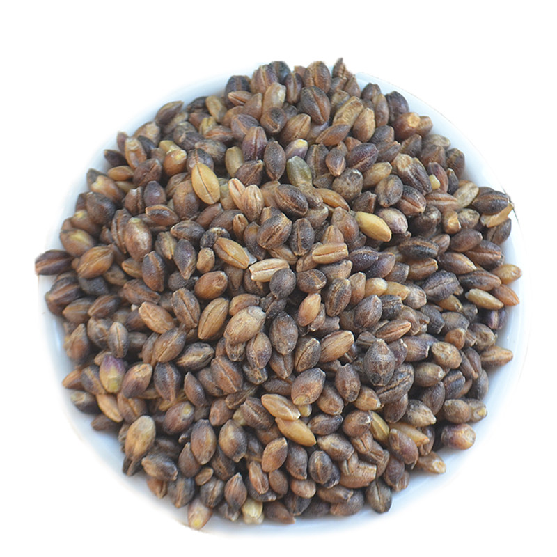 高原特产黑青稞米 带皮黑青稞仁 谷物粗粮发芽种子 500g 5斤包邮