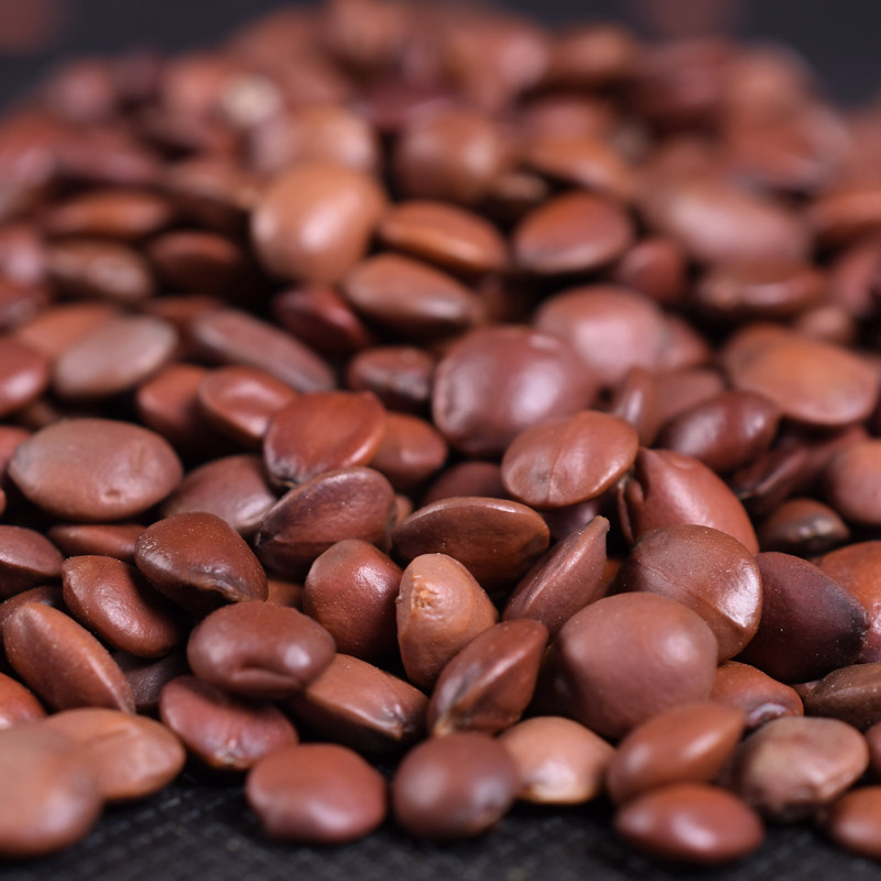 岷府人家滇枣仁酸枣仁非野生酸枣仁非炒酸枣仁茶汤500克g包邮免邮