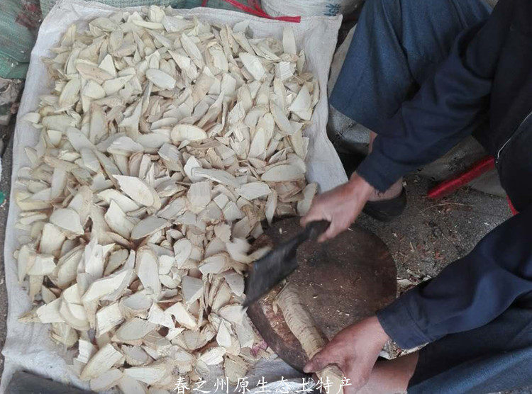中草药黄桐木中药材无硫清热去肝火排肝毒湿毒大小三阳降酶祛肝热