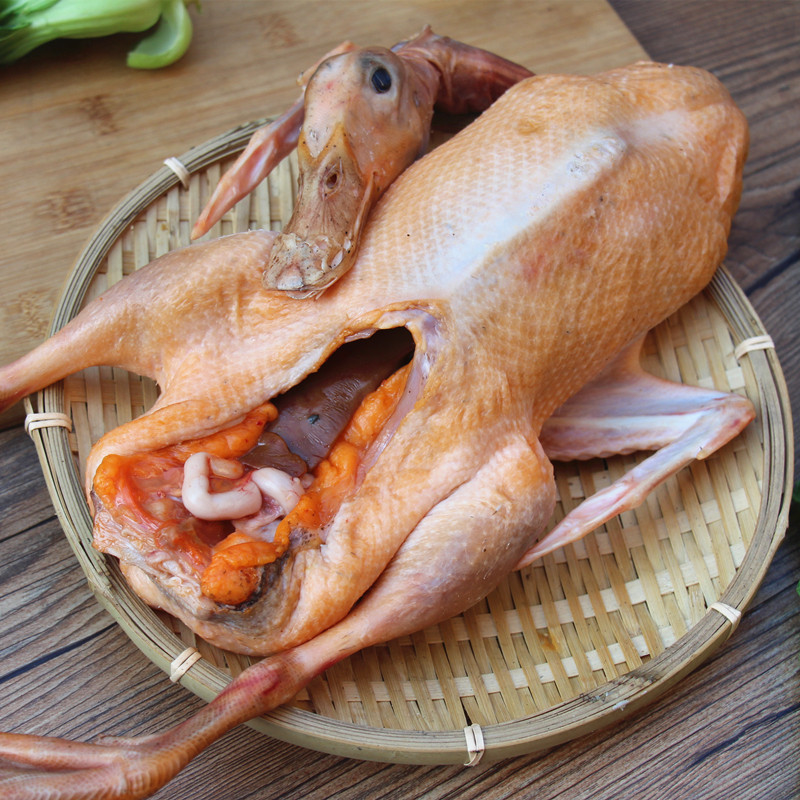 鸭子麻鸭微山湖年老散养草鸭蛋不饲料鸭肉