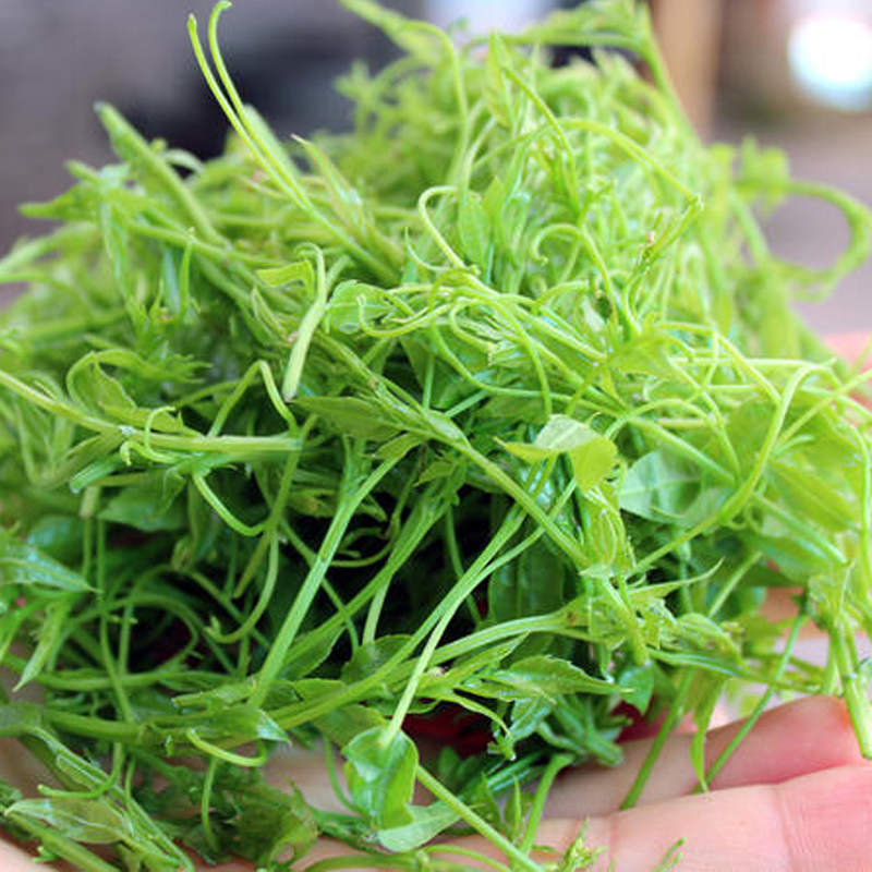 湖北恩施护肝养生藤茶新品野生龙须莓养生茶