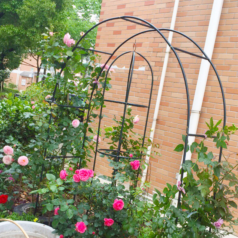 铁艺拱门花架葡萄简易爬藤藤架蔷薇月季攀爬其它园艺用品