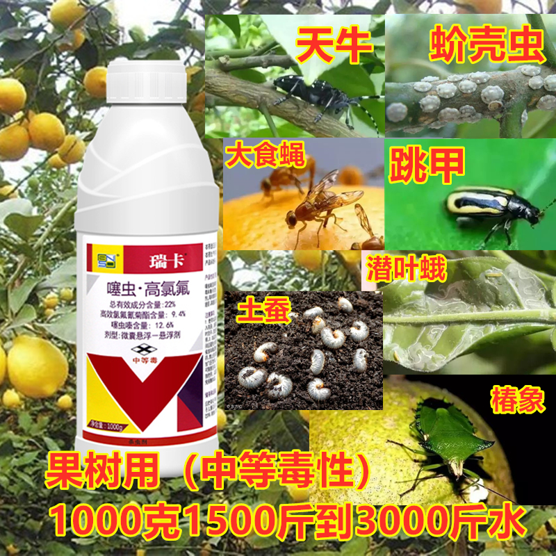 百虫杀天牛毛虫青虫蚜虫蓟马尺蠖椿象椰心甲虫蔬菜