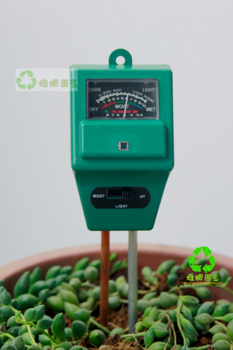 可以看出是否符合发财树的生长习性