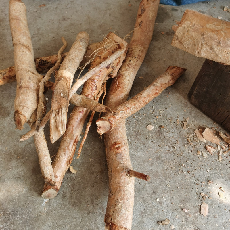 2021野生中草药材乌榄根黑橄榄根乌橄榄煲汤手工其他药食同源食品