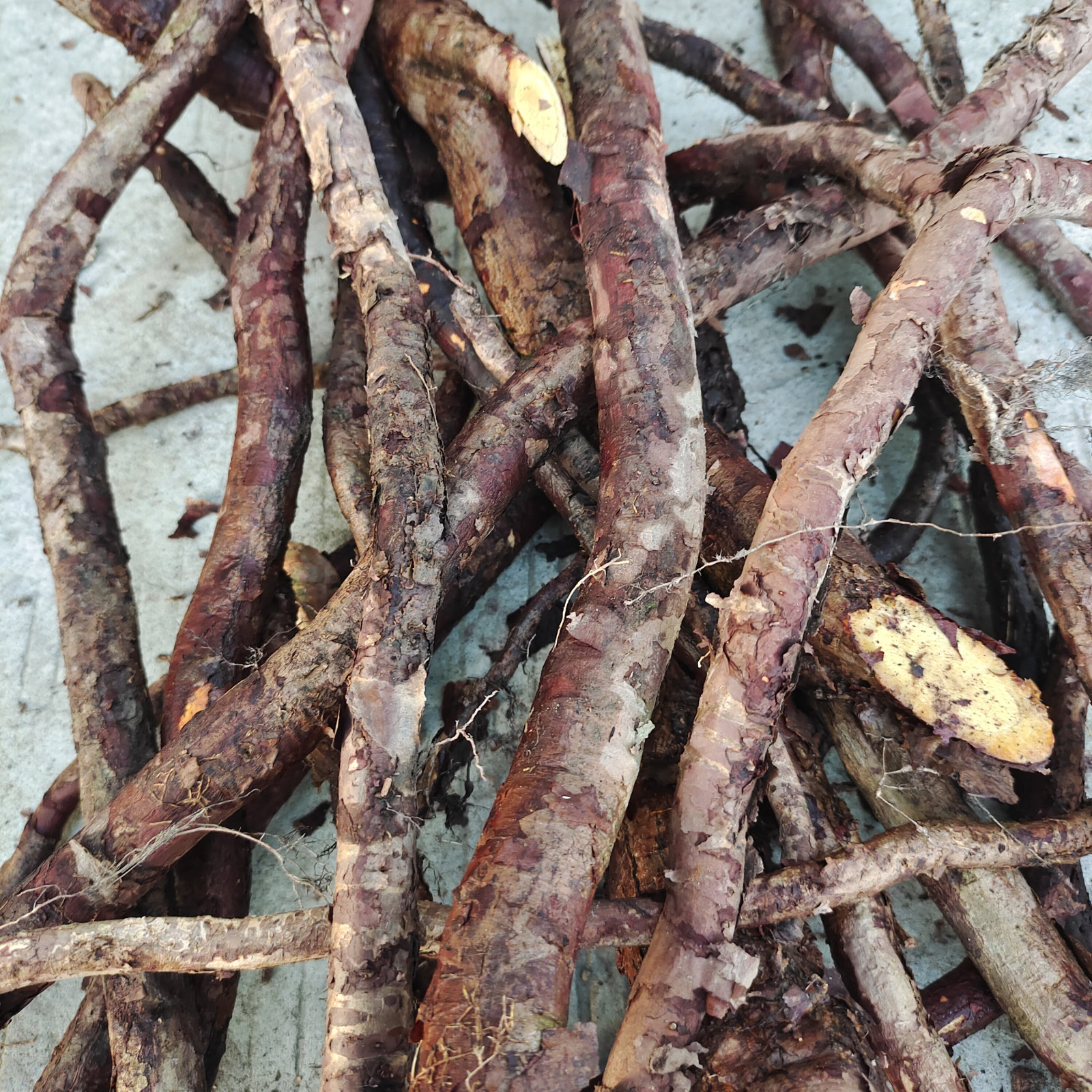 500克入石铁牛石铁牛穿破高山中青筋状元藤根血风其他药食同源食品