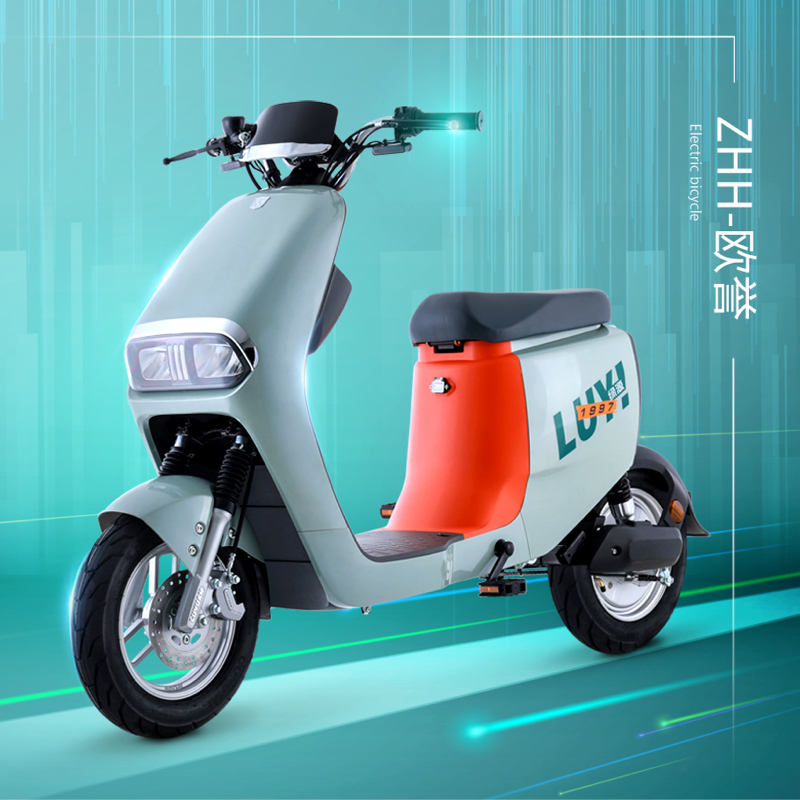 绿源48v24ah锂电池续航电动自行车zhh成人男女通勤电动自行车