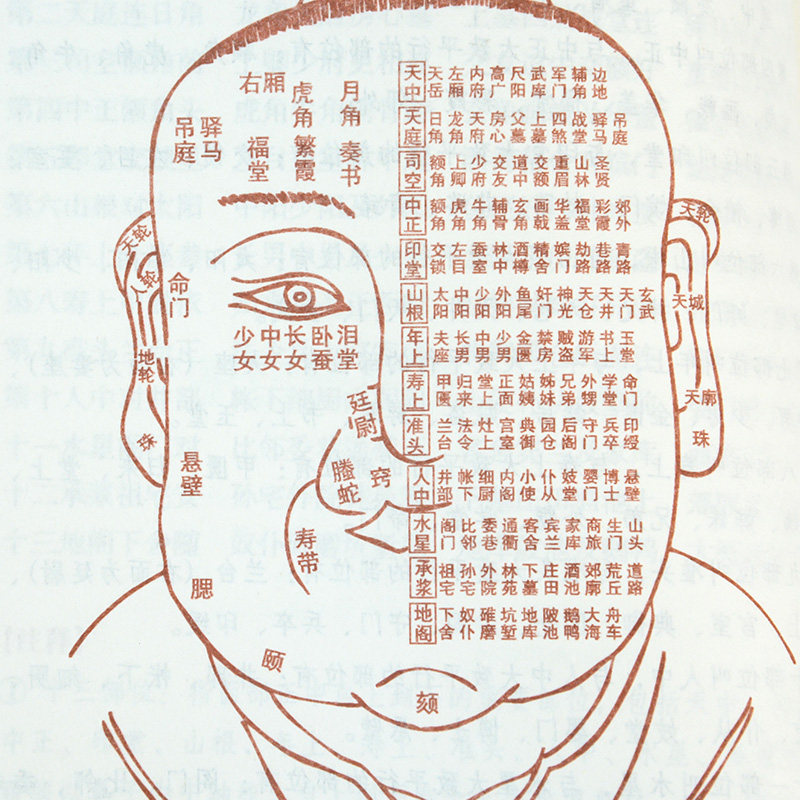 相学相术相法男女手相相面麻衣名著译注志文社会科学总论