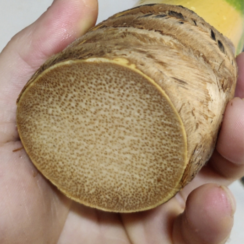 实心竹老玉竹竹制戒尺教鞭手持竹节竹棍禅杖竹编