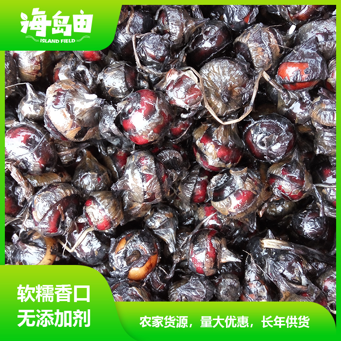 马蹄海岛岛田新鲜珍珠珍珠马野生小马荸荠椰子其它