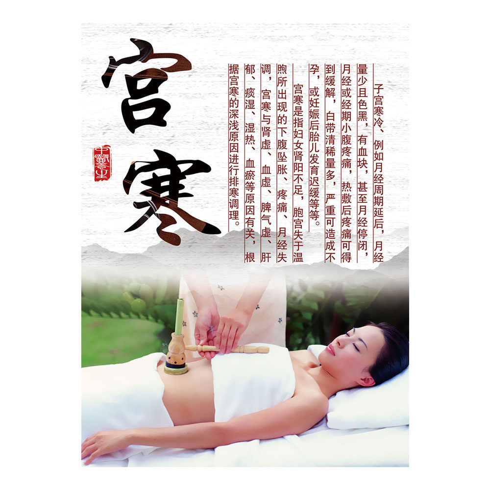 养生美容艾灸宫寒子宫卵巢调理贴纸装饰画广告写真