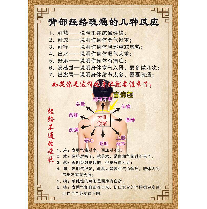 经络脊柱理疗中医养生背部疏通好转反应挂图不通写真