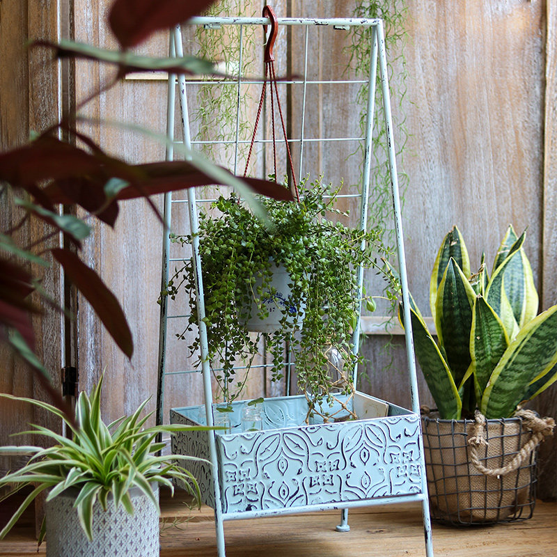 复古铁艺爬藤架花架置物架创意花盆空间设计橱窗装饰道具花园阳台