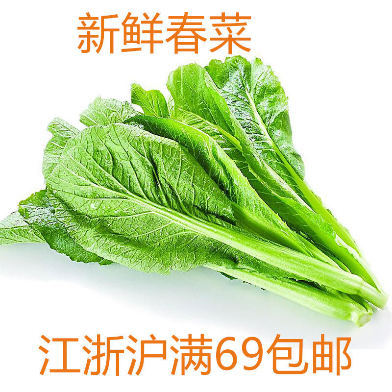 新鲜春菜500g芥菜广东菜微苦青菜蔬菜上海发货其它