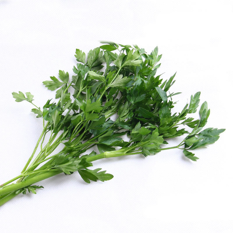 新鲜意大利平叶欧芹parsley西餐配菜香料沙拉凉拌其它