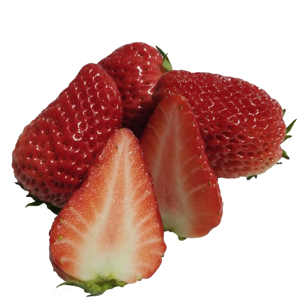 北风味 丹东99新鲜3斤奶油免洗东北大草莓现摘九九东港孕妇水果久