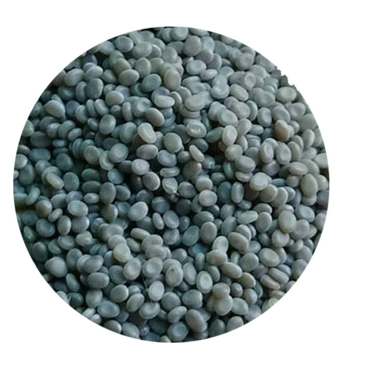 彩色蚕宝宝2022蚕卵蚕种种子天然宝宝蛋可结蚕茧蚕宝宝