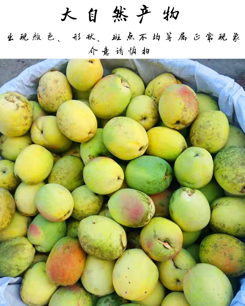 云南木瓜新鲜水果闻香泡酒泡水炖鸡孕妇酸辣木瓜