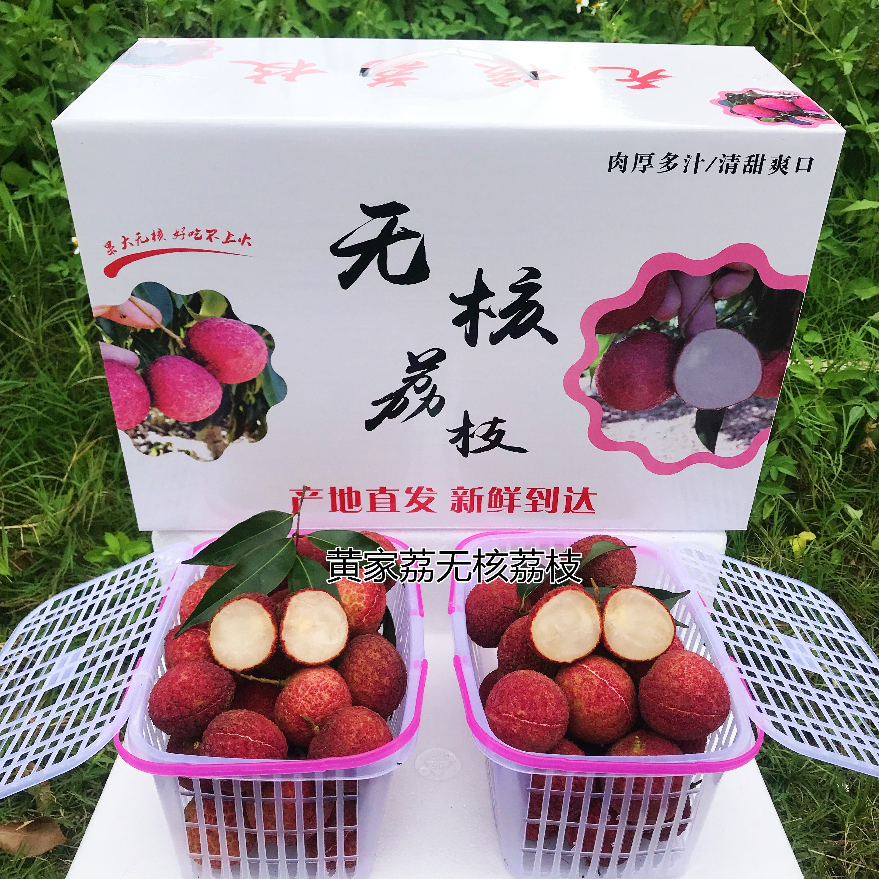 10斤海南无核荔枝礼盒盒装陆桥无籽新鲜应季荔枝