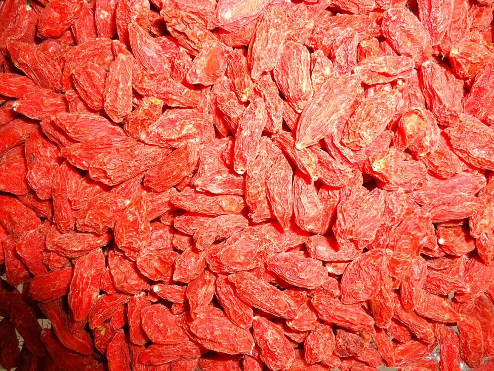 景泰特产黄河石林碱地沙漠玉洁枸杞500克绿色产品枸杞