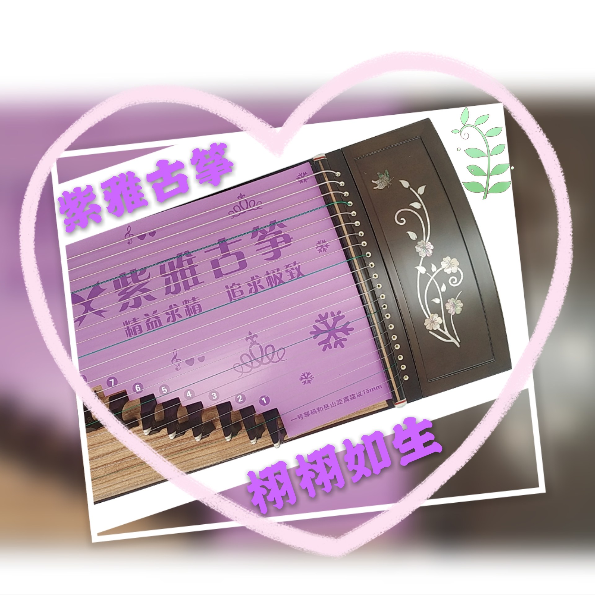 古筝紫雅栩栩如生新手入门扬州正品初学者成人专业考级古筝