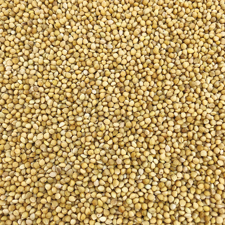 开元牌八哥饲料鹩哥鸟食鸟粮500g八哥鸟食饲料开元鹩哥饲料包 1斤