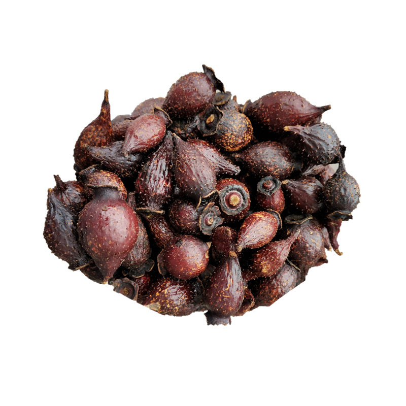 金樱子新鲜果男性中药材特级泡酒鲜果金婴刺梨英子其他药食同源食品