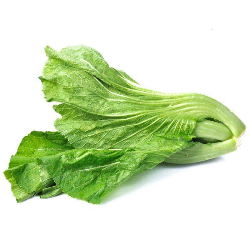 四季甜芥竹芥菜 室内地栽花盆种菜四季播种夏季秋季 蔬菜果蔬种子