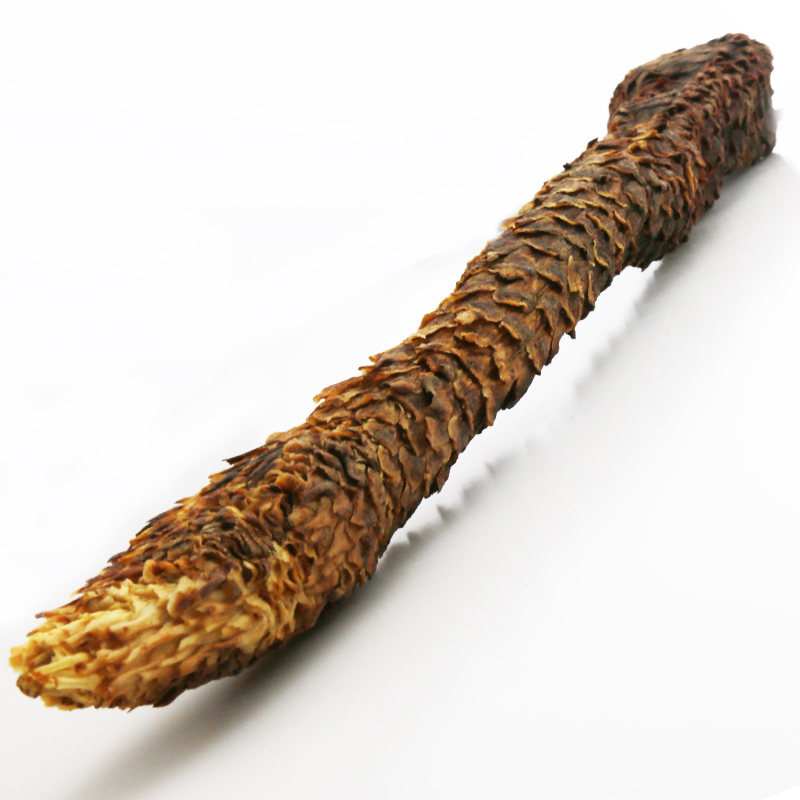 内蒙古阿拉善肉苁蓉非特级500g正品配淫羊藿锁阳其他药食同源食品