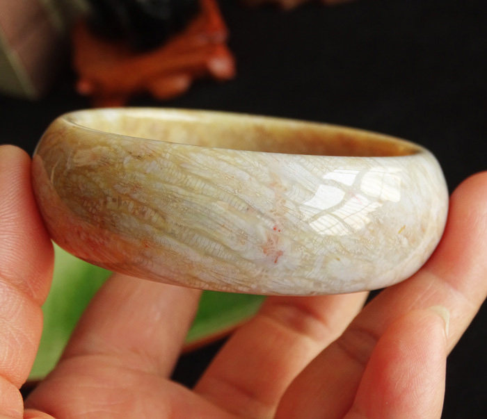 手镯女款化石玉化千年水玉冰魄天然石手镯菊花珊瑚手镯