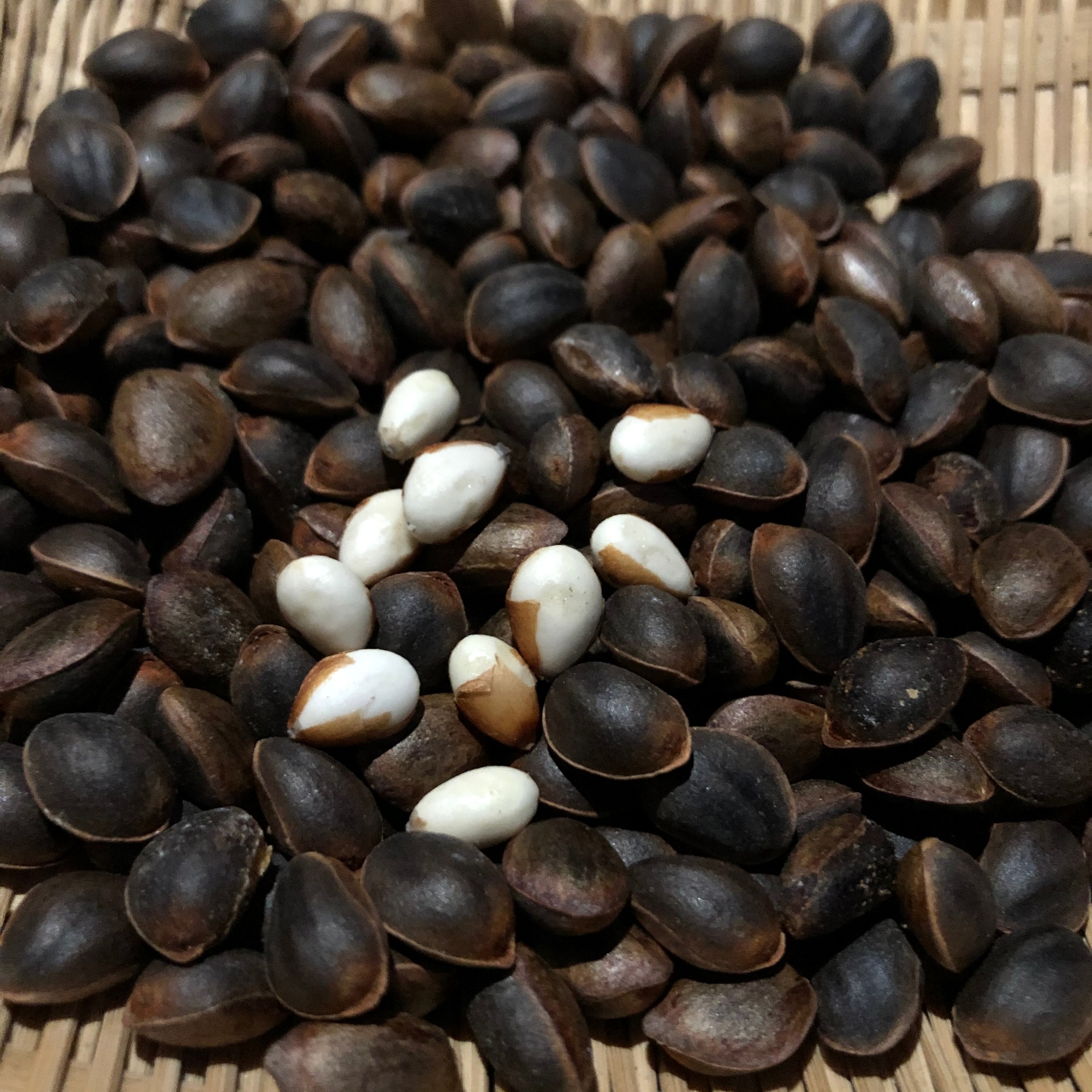 松子散装云南野生新鲜生的不开开口500g原味松子