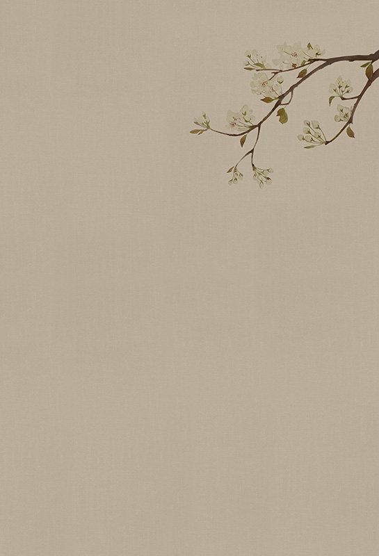 背景影楼工笔画戏曲艺术写真pp古装写真pz469背景布类