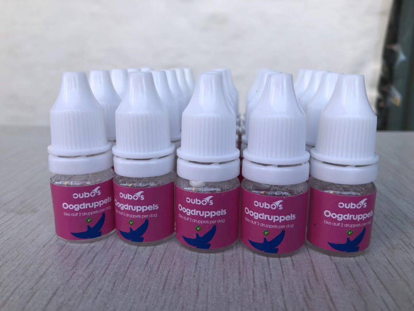 眼药水欧博超级6ml一滴鸽子衣原单眼伤风医疗用品