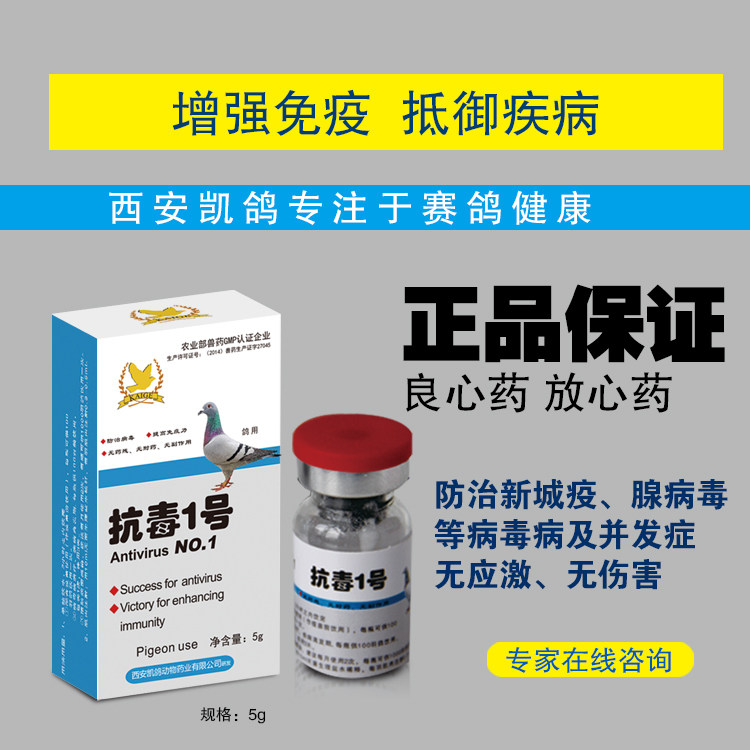 鸽药凯鸽抗毒一号125元12小时产生抗病免疫力速效医疗用品