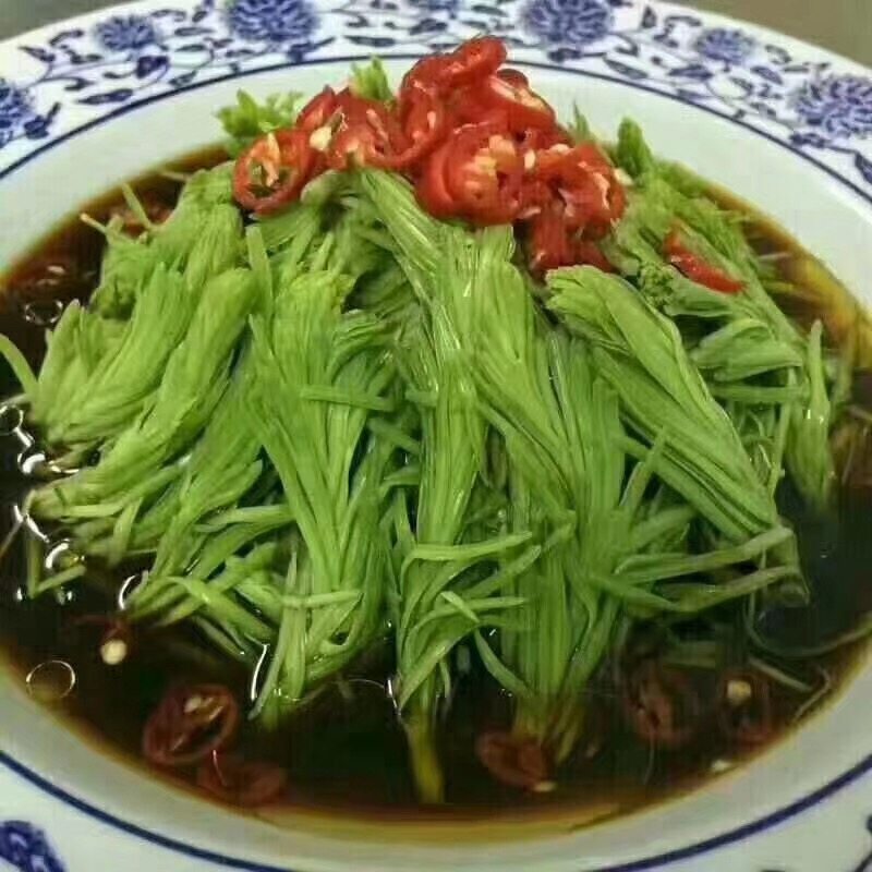 高山沙松时令野菜素菜凉菜2斤一袋1箱10袋其它