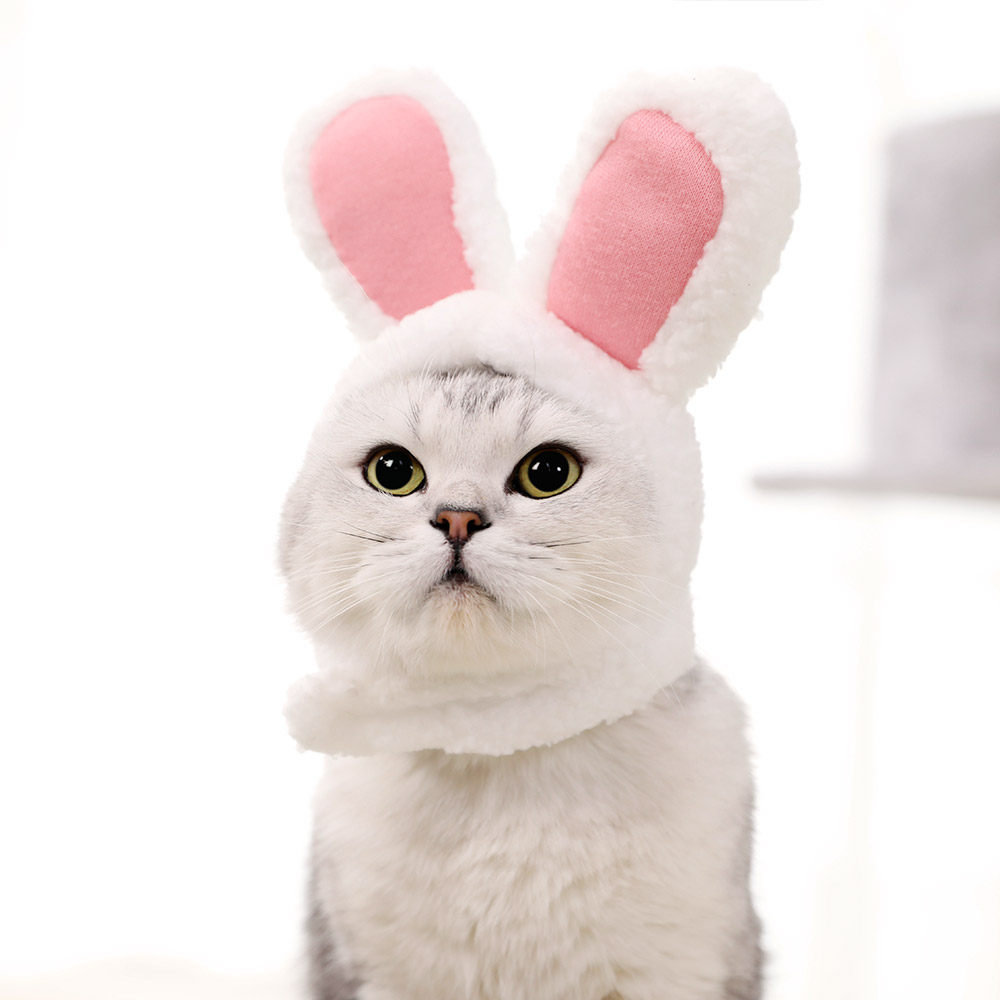 头套兔子25包邮可爱可爱兔猫头变身猫咪头饰狗狗帽子