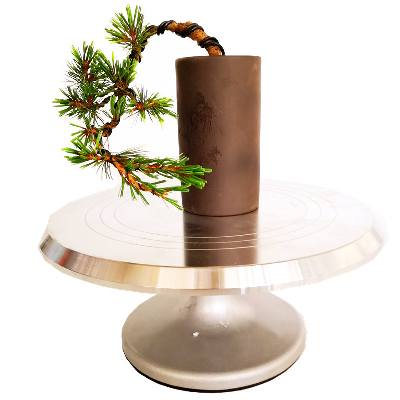 盆景转盘 盆景修剪台转盘 旋转工作台 盆景制作造型转盘 工具用品