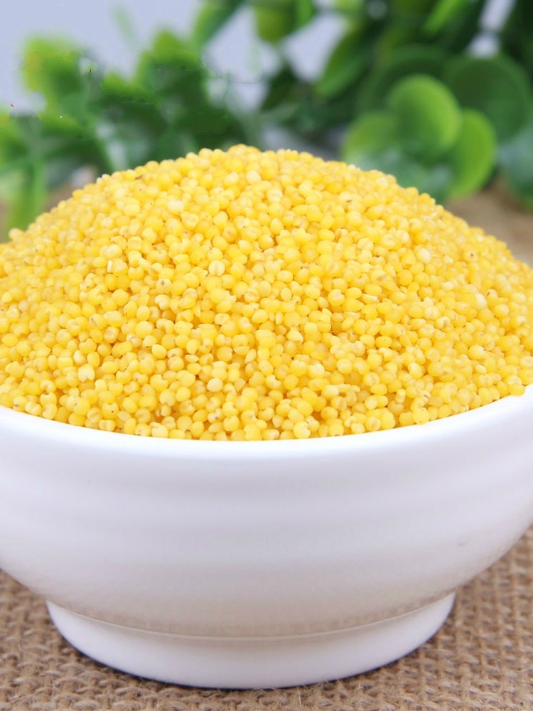 小米米新2021山西2斤农家黄小米小黄新米月子小米