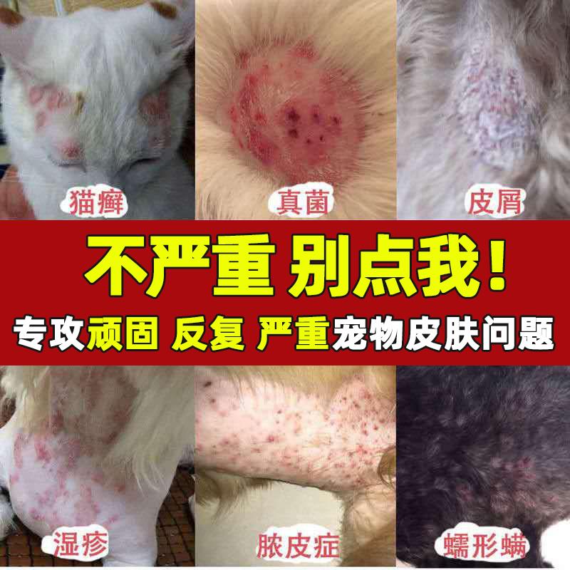 猫藓专用治疗宠物狗皮肤病廯癣湿疹真菌感染皮炎皮肤喷剂