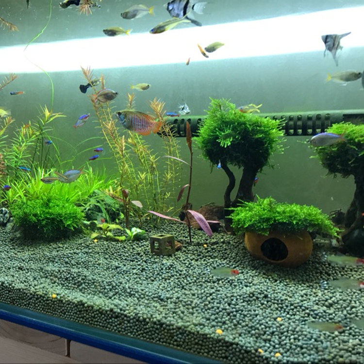 尼特利水草散装鱼缸泥种植土草缸底砂ada水族肥料