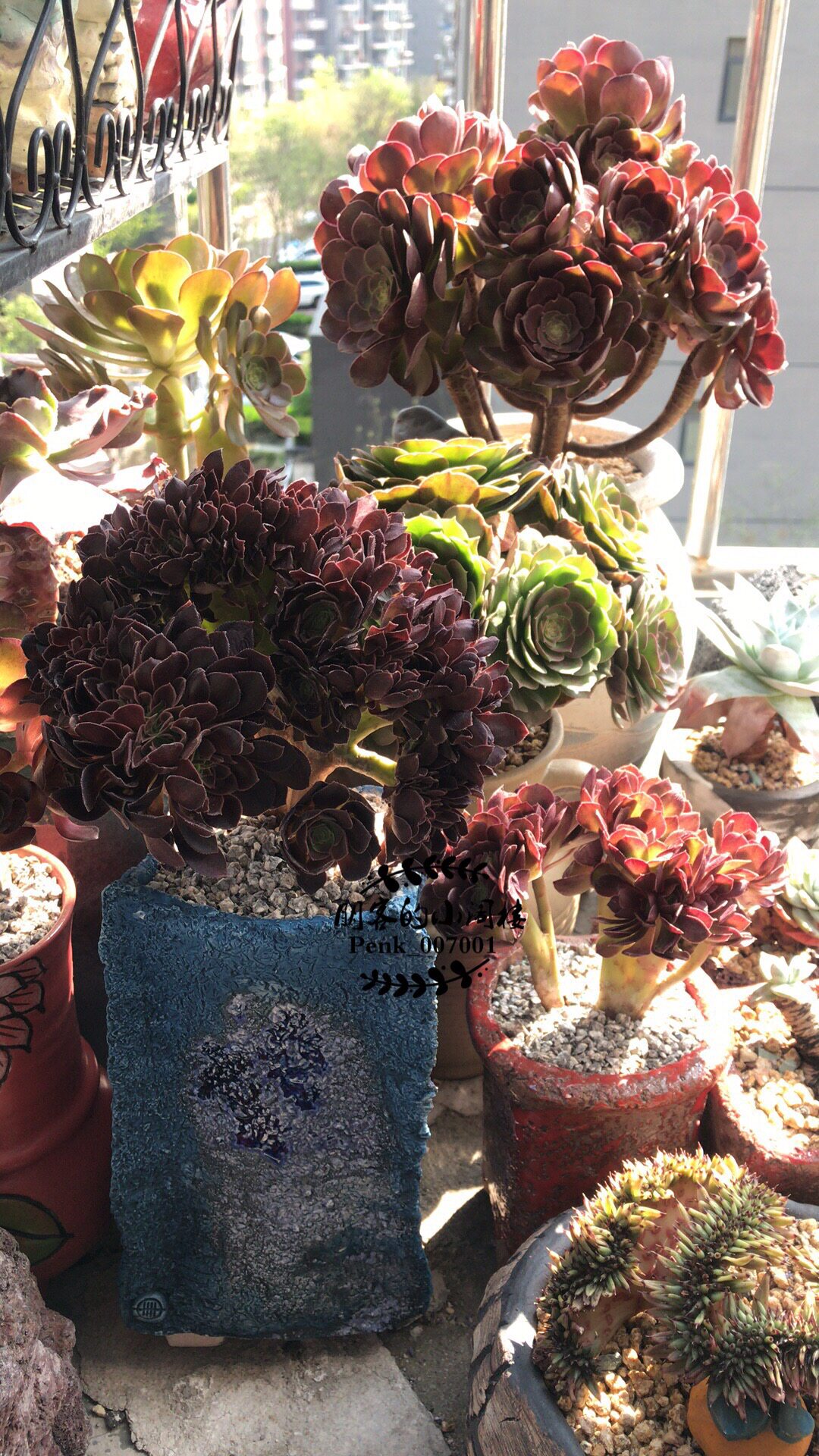 阁楼盆艺一卌老桩法师一物一拍手工花盆